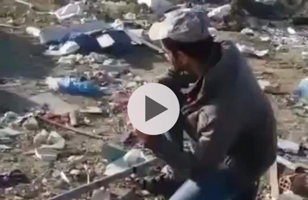 Bakıda dəhşət: Heyvanları zorlayıb,öldürən şəxs tutuldu (18+VİDEO)