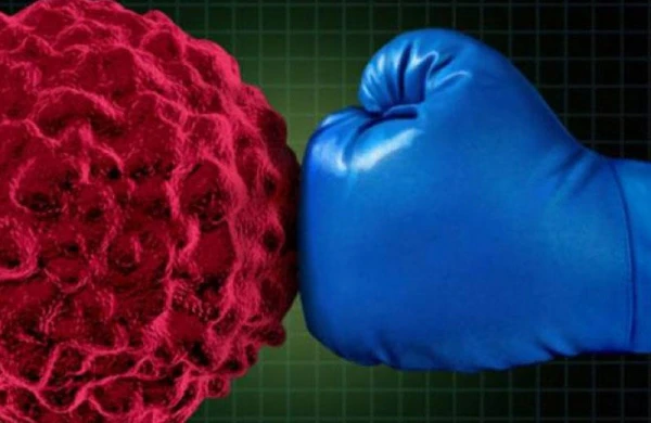 Heç kim xərçəngdən ölməyə məhkum deyil! - Qarşısını almaq üçün bunları edin