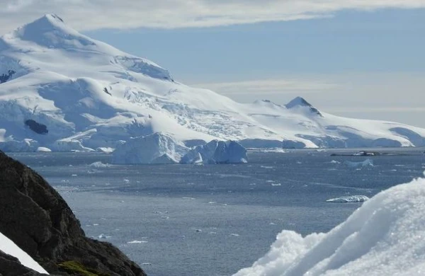 Antarktidada yeni heyvan və bitki növlərinin yaranması proqnozlaşdırılır