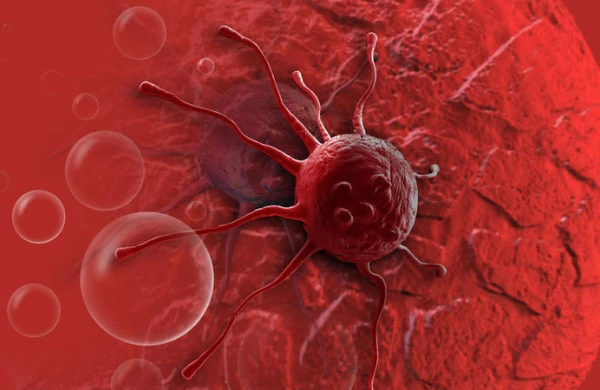 Azərbaycanın bu zonasında yaşayanların xərçəngə tutulması ilə bağlı maraqlı FAKT