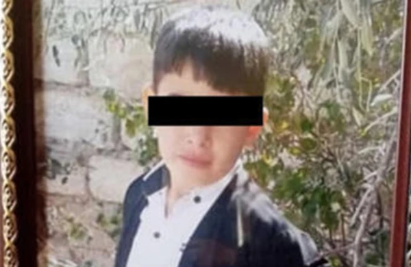 İt dişləməsindən sonra ölən uşaqla bağlı — Rəsmi açıqlama