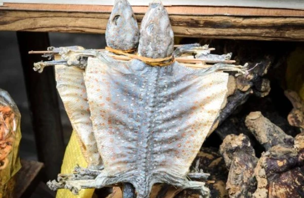 Dünyanı təhlükədə qoyan virus bu bazardan yayılıb - Mədə bulandıran FOTOLAR