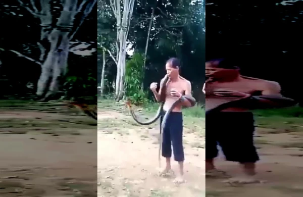 Kobra ilanı kişini boynundan sancdı +VİDEO