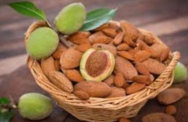 Dünyanın ən faydalı qidası odur