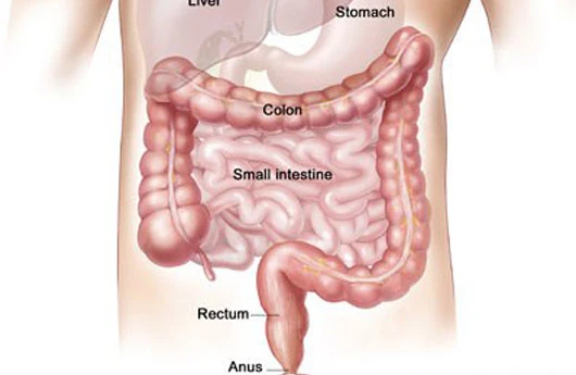 Düz bağırsaq sallanması. SƏBƏBLƏR və MÜALİCƏSİ