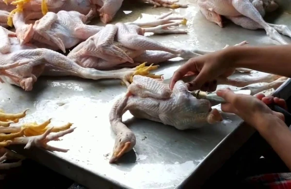 Çindən şok görüntü yayıldı: Heyvanları bu cür şişirdirlər +VİDEO