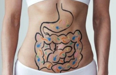 Bağırsaqların insan hislərinə — İNANILMAZ TƏSİRİ