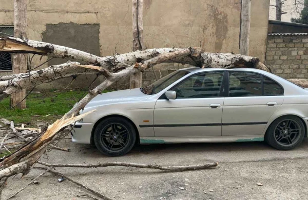 Xəstəxananın həyətində avtomobilin üzərinə ağac düşdü