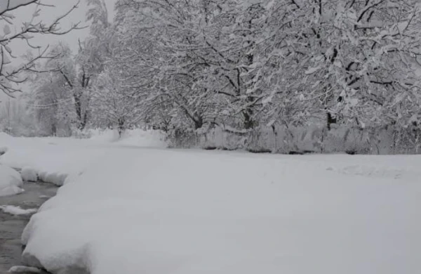 Sabah Bakıya QAR YAĞACAQ: 15 dərəcə şaxta, güclü külək olacaq, yollar buz bağlayacaq