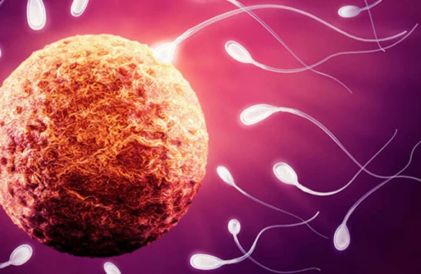 Gec yaşda evlənən kişiləri GÖZLƏYƏN TƏHLÜKƏ