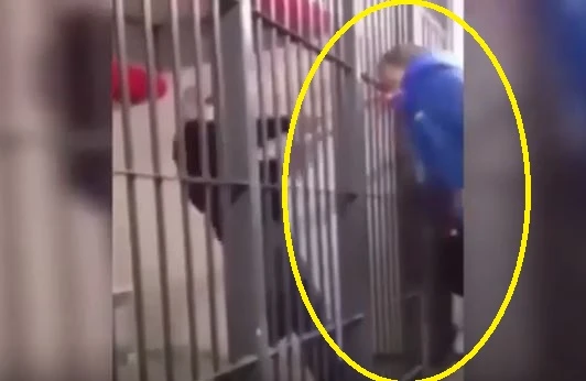 Həbsxanadan şok görüntü: Məhbus vəkili ölümcül etdi