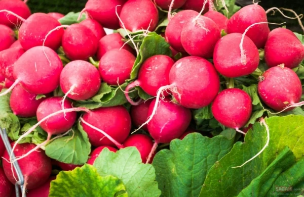 Xərçəng əleyhinə təsir göstərən tərəvəz - Özü kimi yarpaqları da...