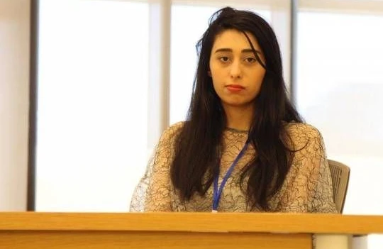 MSK sədri Qubad İbadoğlunun qızının döyülməsi ilə bağlı yayılan videodan danışdı