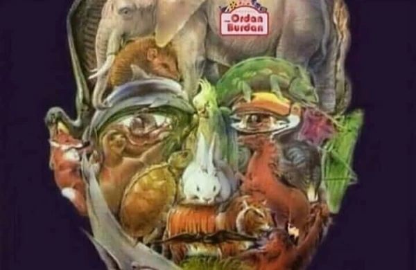 Fotoda dəvəni tapın - MARAQLI  TEST