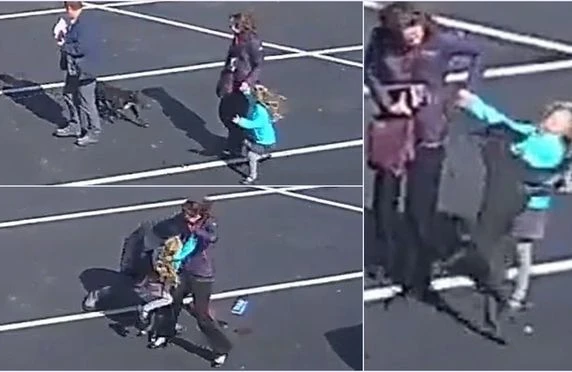 İtin uşağa qəfil hücumu - ANBAAN VİDEO