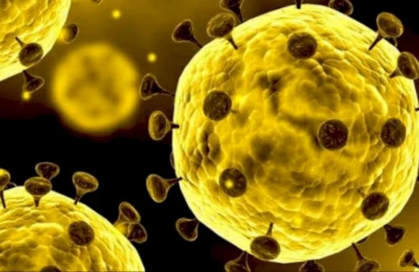 Yüksək vəzifəli məmur korona virusuna yoluxdu