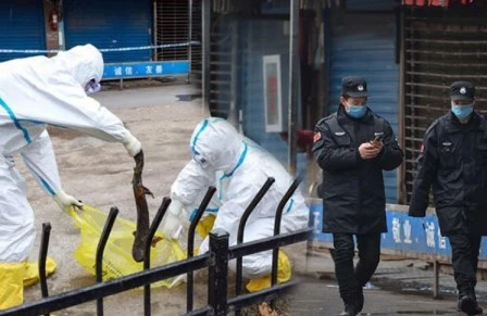 Çindən yeni qərar — Artıq bunları yeməyəcəklər