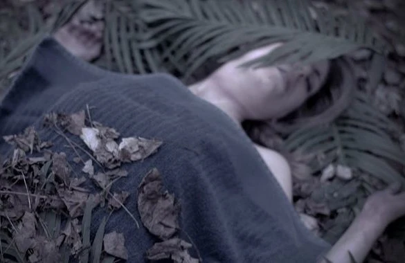 Qadının qətlinə görə qonşusu tutuldu - Bərdədə