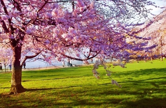 Hava ilə bağlı VACİB AÇIQLAMA