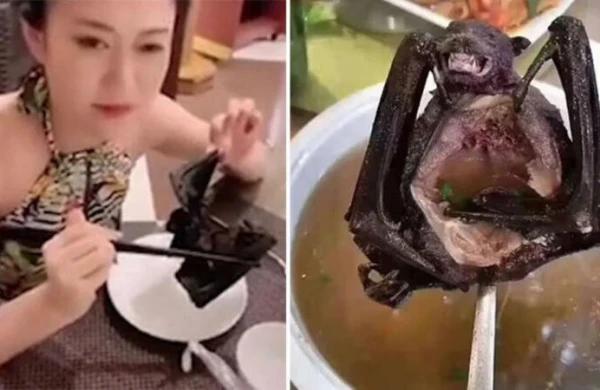 Koronavirusla bağlı deyilənlər HAMISI YANLIŞ İMİŞ - ŞOK FAKTLAR ÜZƏ ÇIXDI (FOTO)