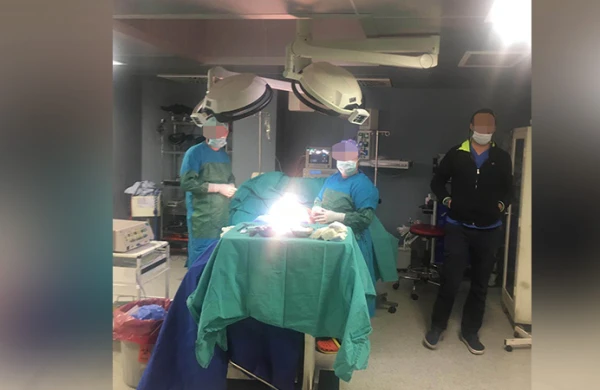 ŞOK HADİSƏ! Polis məşhur plastik cərrahı əməliyyat masasında həbs etdi +VİDEO