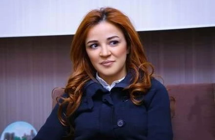 Bakıda tanınmış tarzənin avtomobilini qarət edən şəxs saxlanıldı