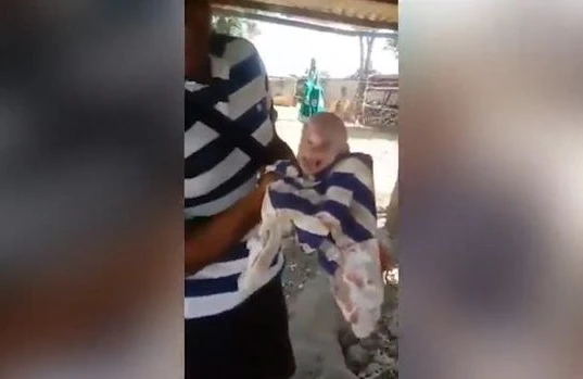 Donuz insan üzlü bala doğdu -Şok görüntü
