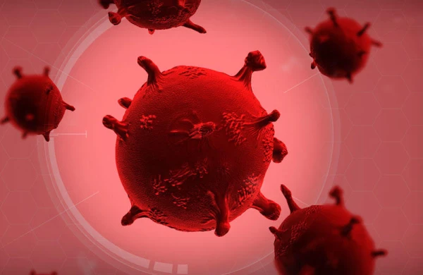 Koronavirusdan sağalan insanların orqanizmində nə vaş verir? - ARAŞDIRMA 