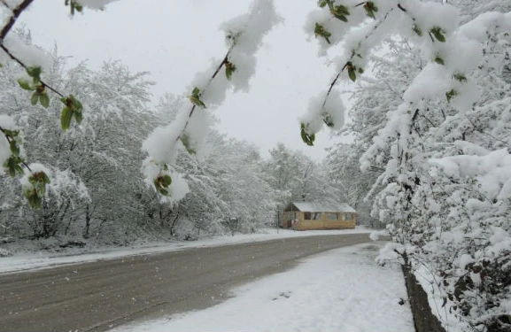 Azərbaycana qar yağıb - FAKTİKİ HAVA