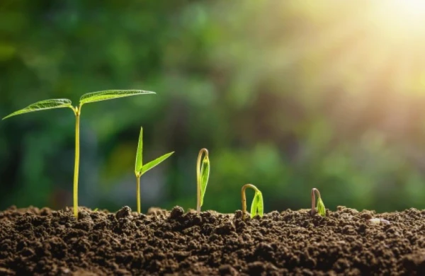 Bu gün Torpaq çərşənbəsidir