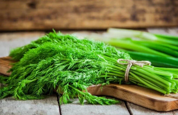 Şüyüd haqqında bilmədikləriniz