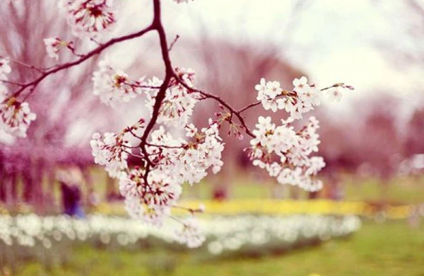 20 dərəcə isti olacaq - HAVA PROQNOZU