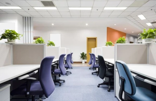 Bu şəxslərə əlavə məzuniyyət verilir    –  Vəkil Esmira Rzayeva ilə MÜSAHİBƏ