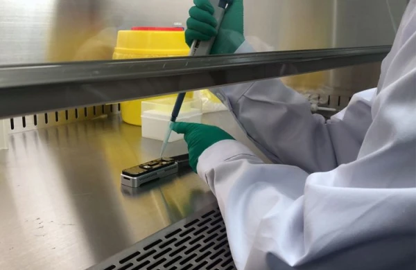 SENSSASİYA: Koronovirusu bu ölkə hazırlayıb,laboratoriyaya köçürərkən ətrafa dağılıb
