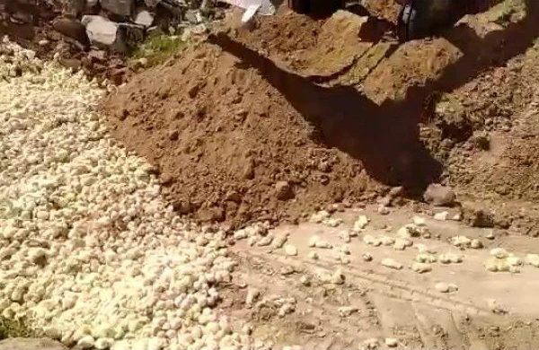 İrandan ŞOK görüntü: 100 minlərlə canlı diri-diri basdırıldı (18+VİDEO)