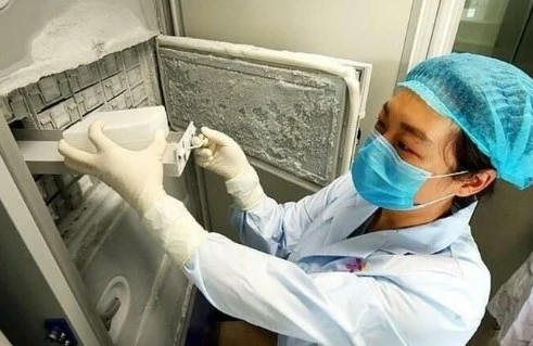 SENSASİON FOTO: Koronavirus bu soyuducu sındığı üçün Çinə yayılıb