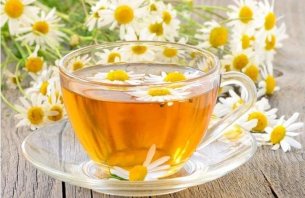 Çobanyastığı bitgisinin-FAYDASI 