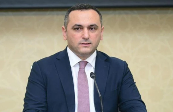 Ağırlaşma və ölüm hallarının çoxu evdə özünü müalicə ilə bağlıdır - TƏBİB