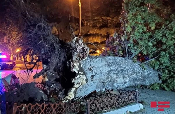 Güclü külək Azərbaycanda ciddi fəsadlar törətdi - FOTO