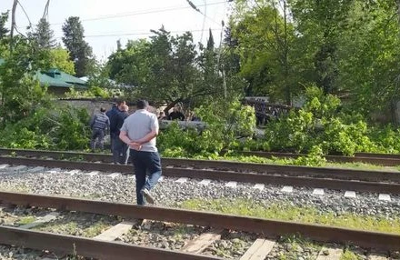 Tovuzda külək iri gövdəli ağacı aşırıb, dəmir yolu bağlanıb - FOTO