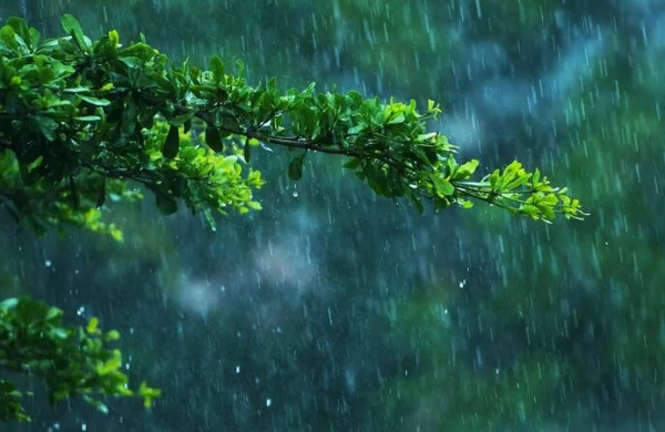 Hava kəskin DƏYİŞDİ: Güclü külək, yağış... - FAKTİKİ HAVA