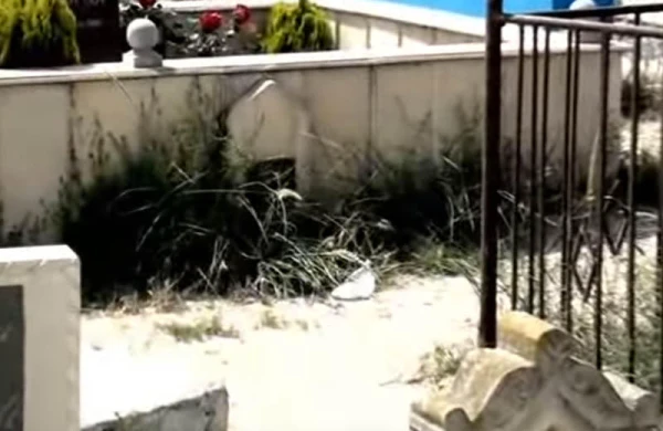 Qəbir əzabı hamıya şamil olacaq?