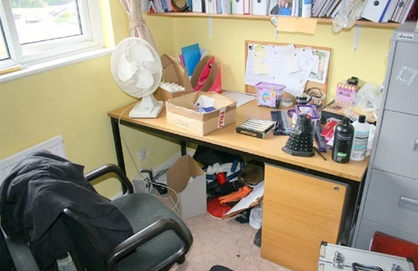 Fotoda pişik harada? - Diqqət tələb edən TEST