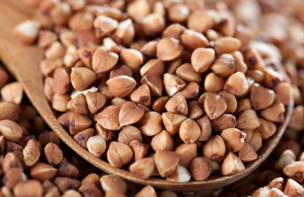 Bütün dövrlərin ən SAĞLAM QİDASI