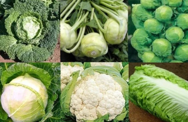 Cavan qalmaq istəyənlər hər gün bu tərəvəzdən yesin