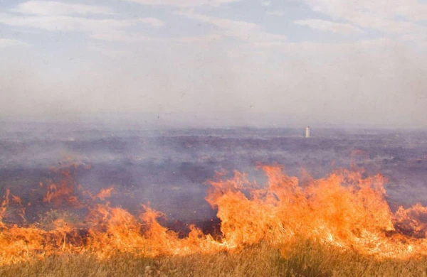 Biləsuvarda biçilməmiş taxıl sahəsi yanıb