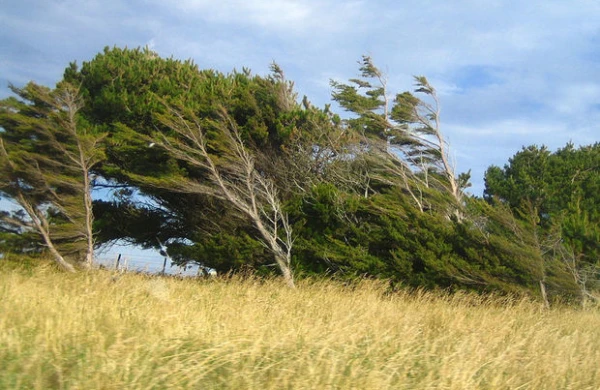 İyun ayının HAVA PROQNOZU