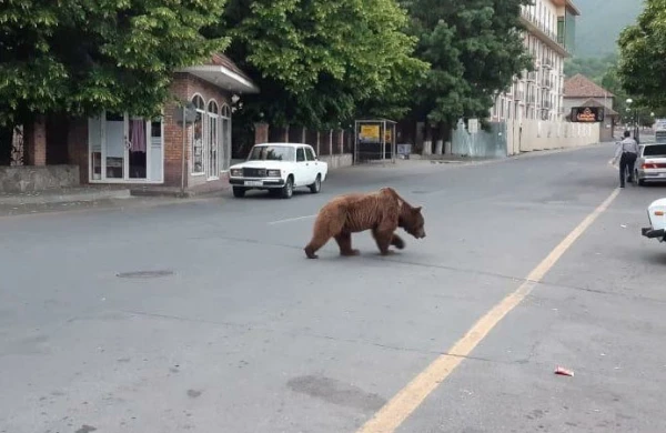 Şəhəri qarışdıran ayı hansı məmur villasından qaçıb? (İDDİA)