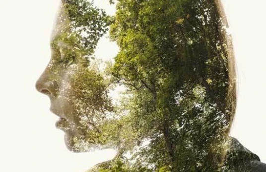 Doğum  tarixinizə  görə sizin  bitkiniz - Bütün aylar üzrə