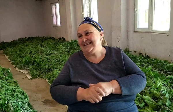 Azərbaycanda bu iş aya 8 min manat qazandırır - VİDEO